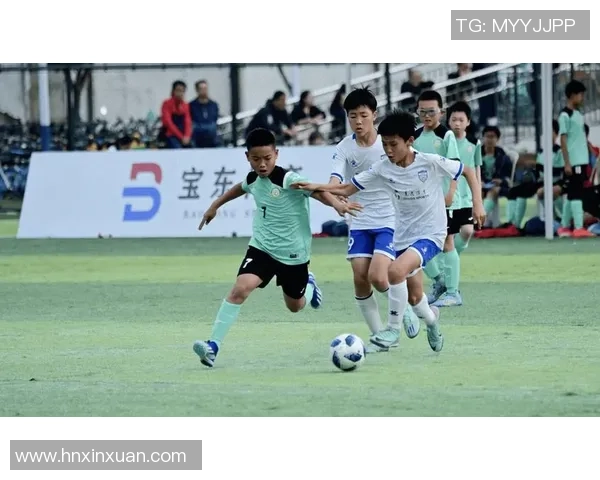 青枫足球：携手共进，打造青少年足球梦想的摇篮与未来